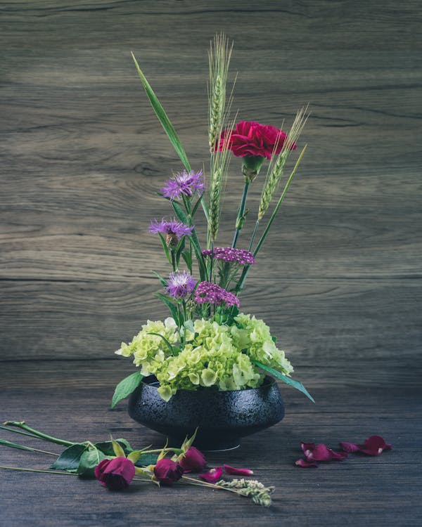 Foto profissional grátis de arranjo de flores, botânica, cravos