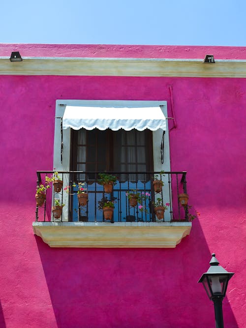 Foto d'estoc gratuïta de balcons, fons rosa, paret rosa