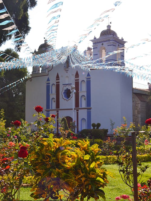 Foto d'estoc gratuïta de Església, jardí, jardí de flors