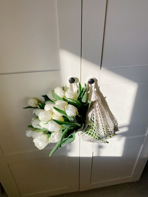 White Tulip Bouquet Hanging on a Cabinet Door Knob Lit by Sunlight