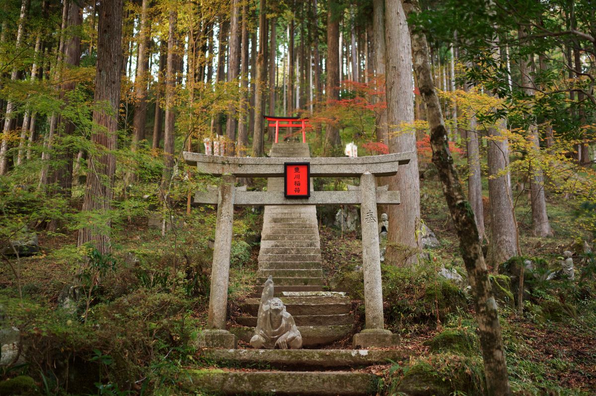 森の中の鳥居と石段のイメージ