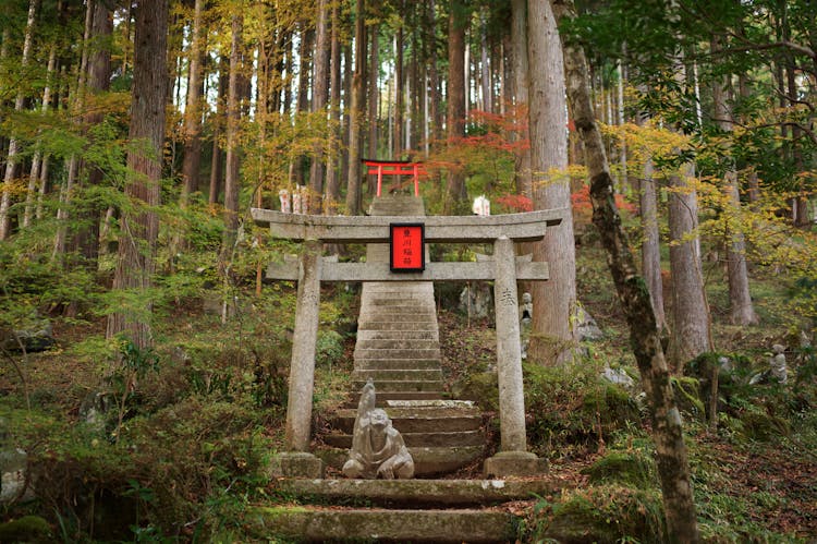 Gateway To A Shrine In The Forest

