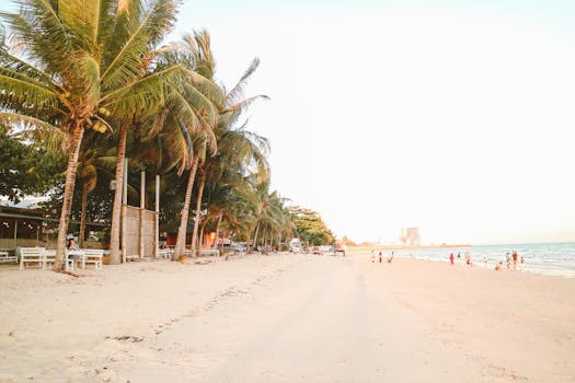 Serene tropical beach in Balikpapan, Indonesia, featuring palm trees and a calm seashore.