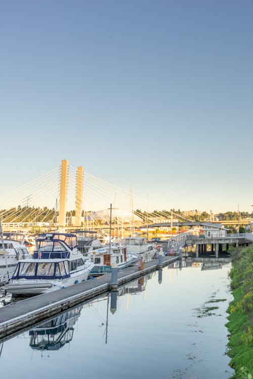 Motorboats Moored on River near Bridge