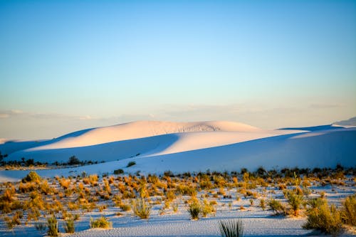 Foto profissional grátis de areia, arenoso, deserto