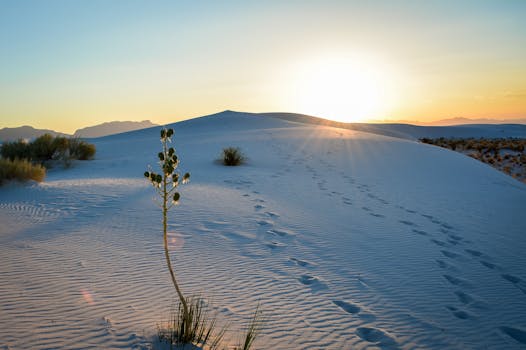 Breathtaking sunrise over sand dunes with footprints leading into the distance, capturing the beauty of a tranquil desert scene.