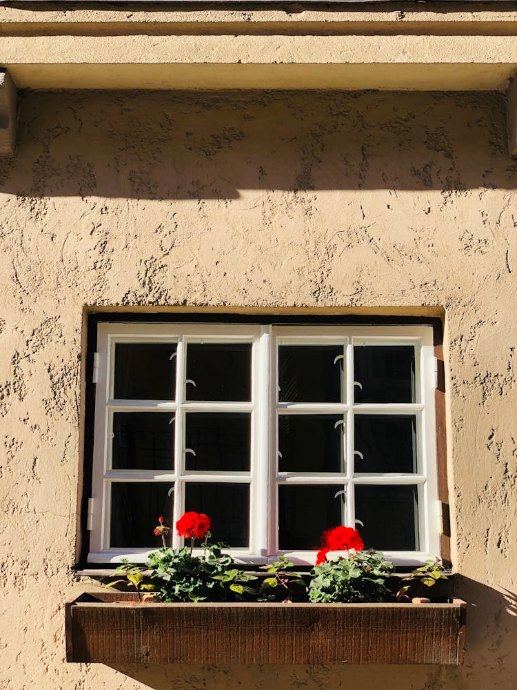 A Window With Flowers In A Window Box 