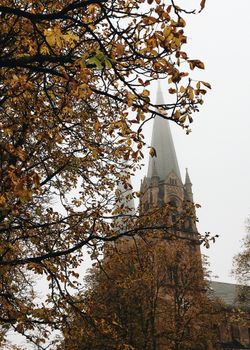 Gothic church spire framed by autumn leaves in Freiburg, Germany.