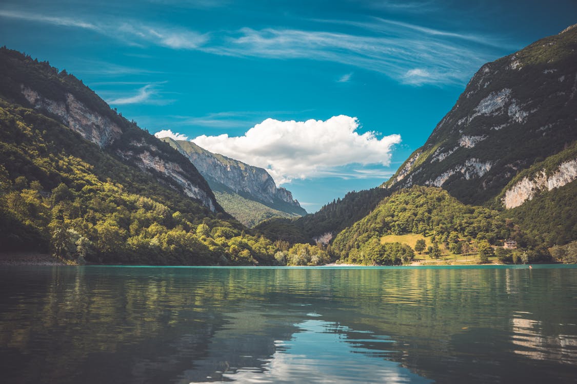 Mountains with Green Trees Near Body of Water