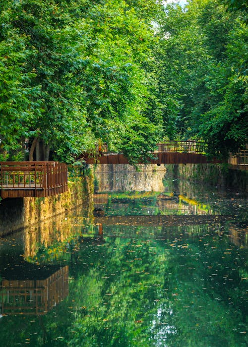 Foto profissional grátis de árvores verdes, lago, ponte de madeira
