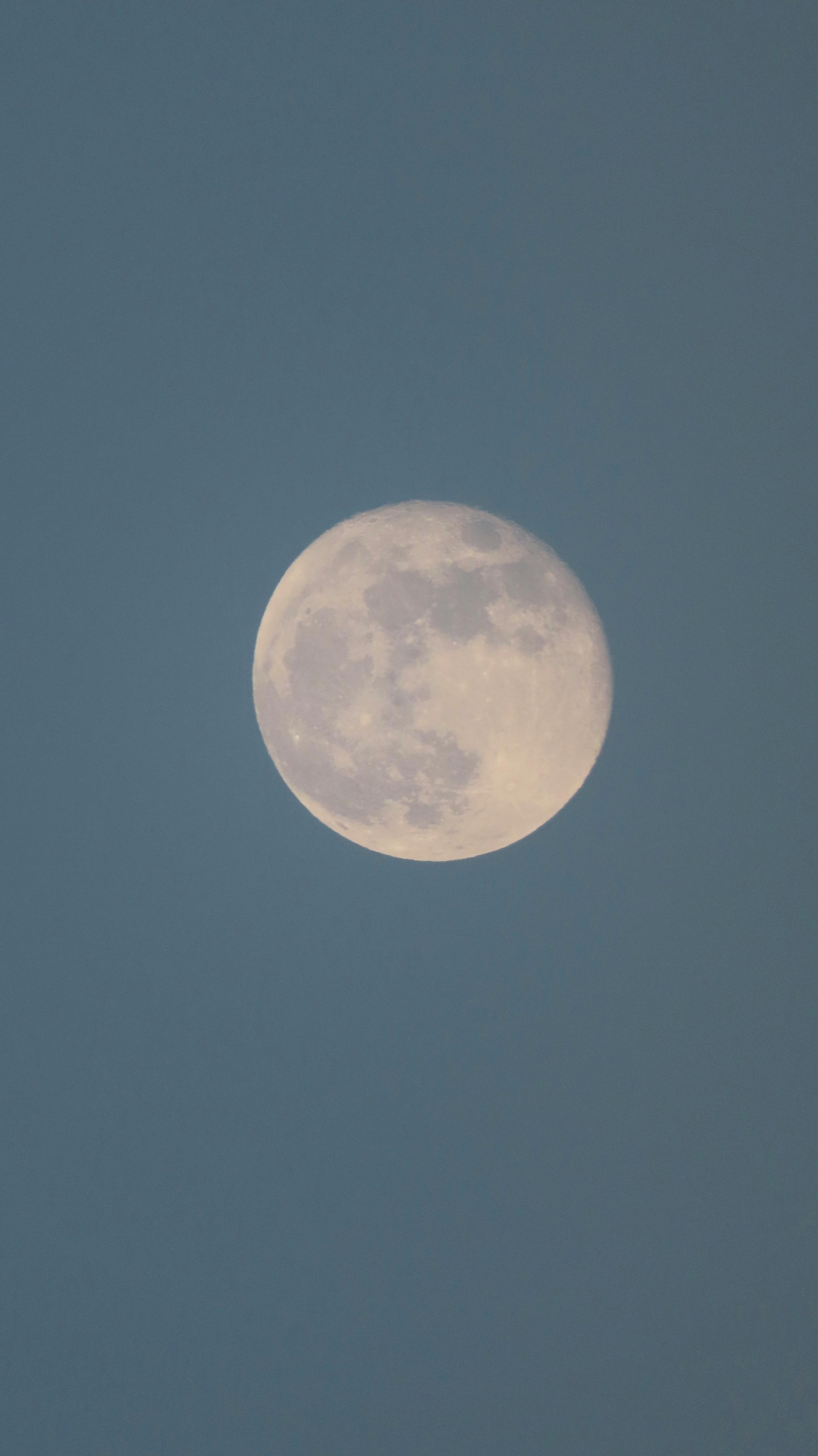 8,000+ Best Moon Images · 100% Free Download · Pexels Stock Photos