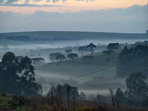 Бесплатное стоковое фото с красивый пейзаж, сельскохозяйственные угодья, туманное утро