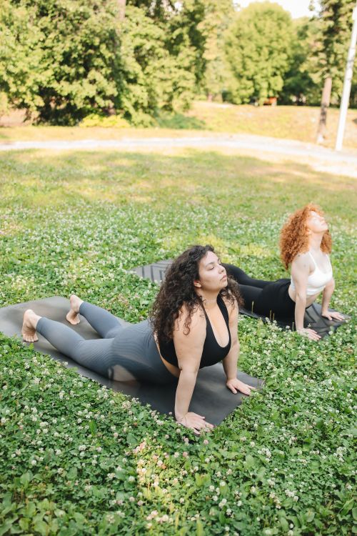 Free Two women perform yoga outdoors on mats in a sunny park, embracing wellness and a healthy lifestyle. Stock Photo