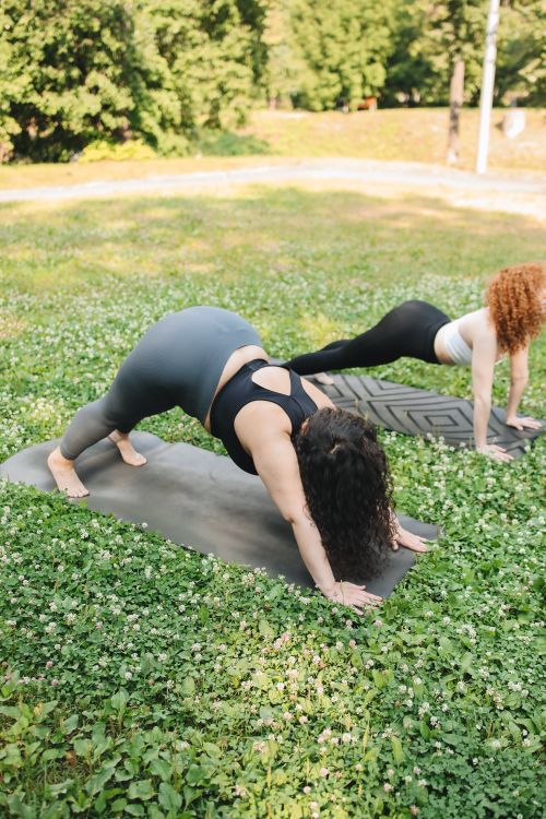 Free Two women practicing yoga on mats in a sunny park, embracing a healthy lifestyle. Stock Photo
