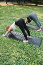 Free stock photo of adult, exercise, flora