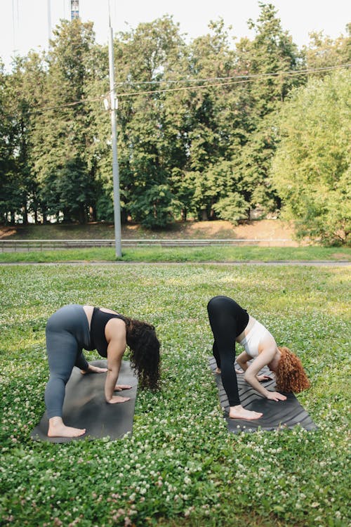 Two Women Stretching Their Bodies