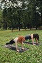Free stock photo of exercise, fitness, garden