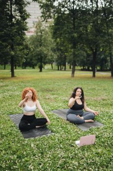 Two women practicing yoga together on mats in a green park setting.