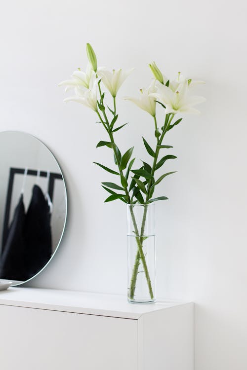 beyaz ahşap masa, Beyaz çiçekler, Beyaz duvar içeren Ücretsiz stok fotoğraf