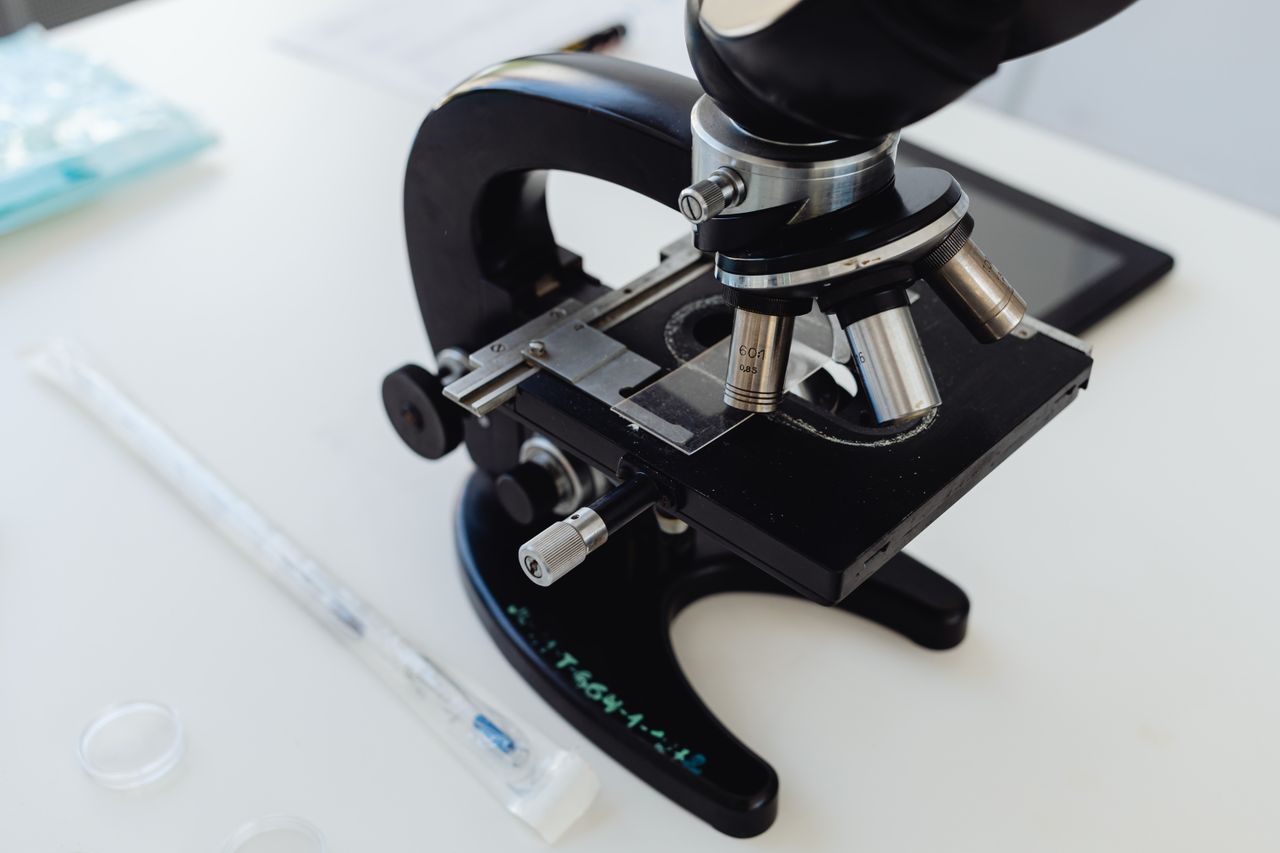 Researchers Develop Modified Natural Killer Cells to Target Solid Tumors