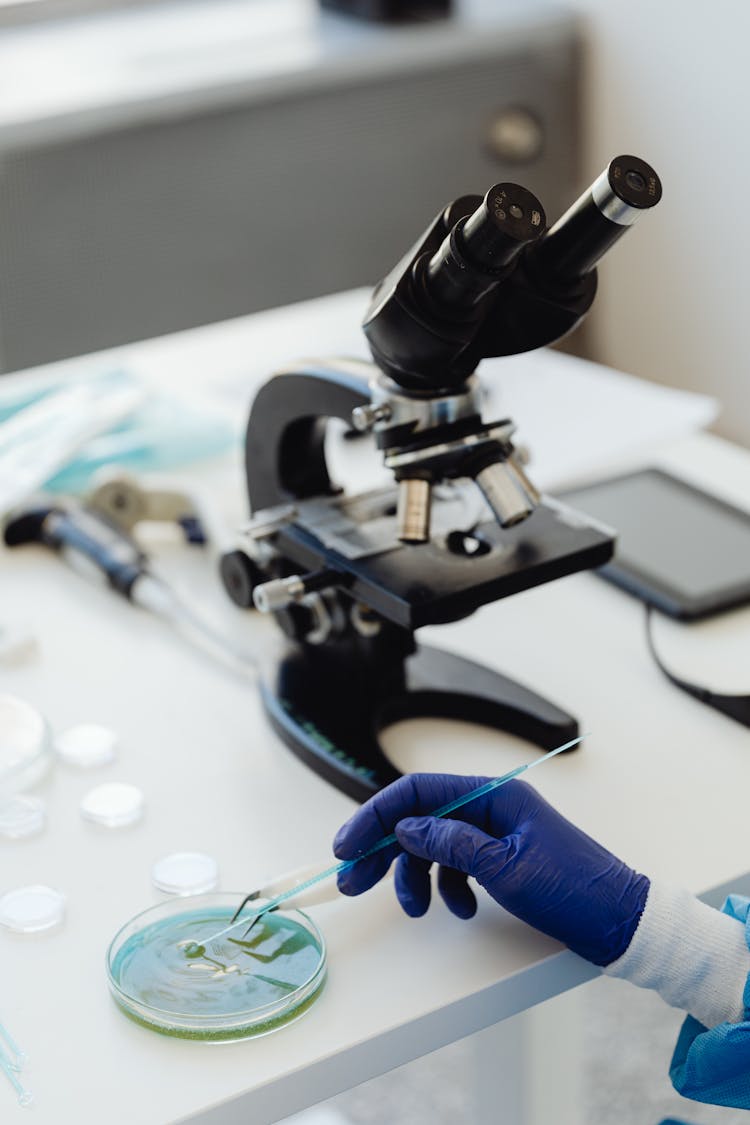 A Person Using A Pipette On A Petri Dish In A Lab 