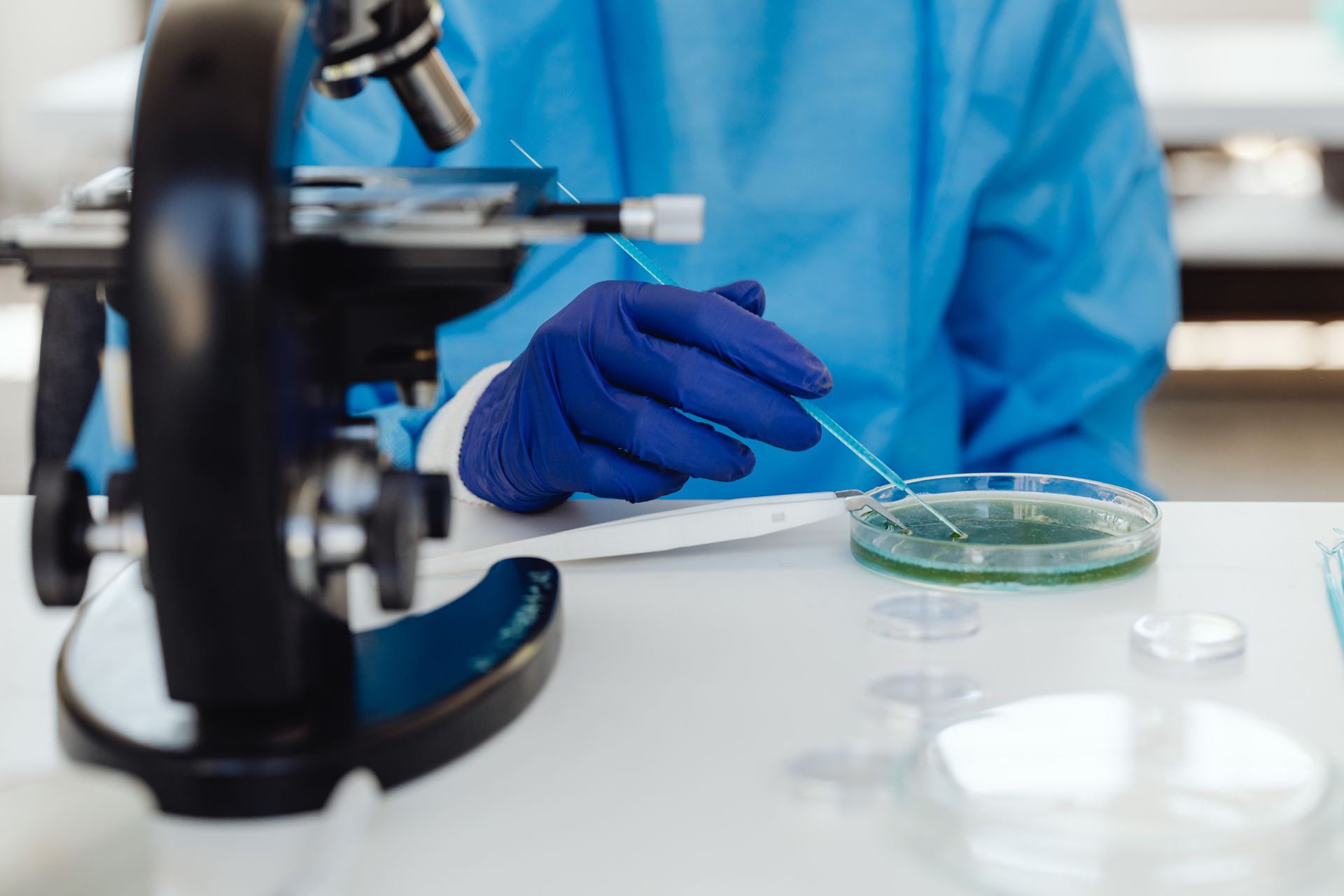 A Person in Blue Surgical Gown Wearing Blue Surgical Gloves Holding a Pipette on a Round Glass