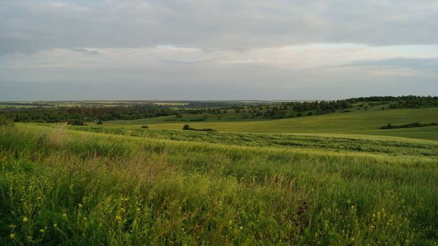 Green Grass Field Under White Clouds