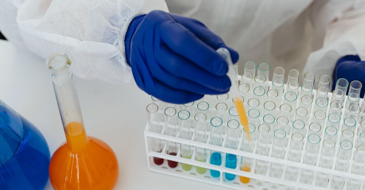 A Scientist Drop Pipetting Liquid Samples in Test Tubes · Free Stock Photo
