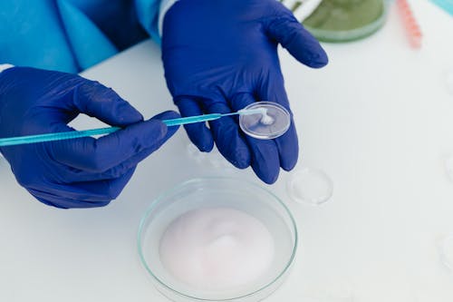 Free A Hand Wearing Medical Gloves Putting Liquid on a Petri Dish Stock Photo