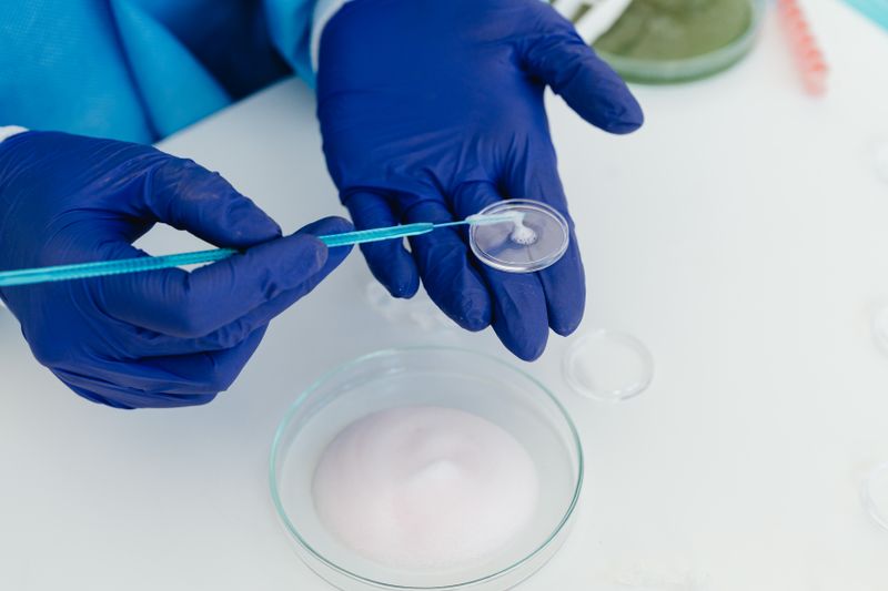 Gloved hands transferring a sample into a petri dish — photo by Kaboompics on Pexels