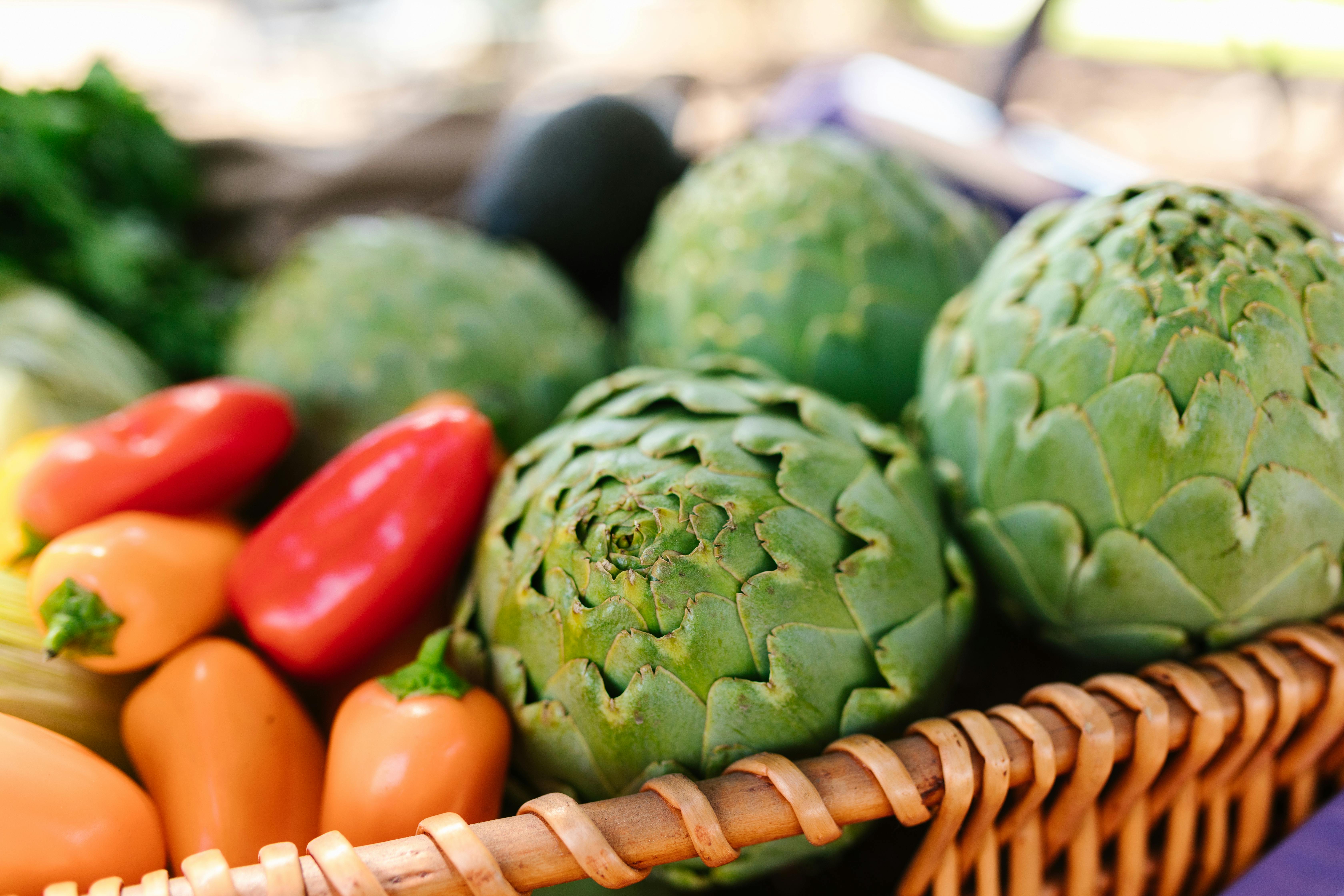 Impact of plant-based diets and associations with health, lifestyle and healthcare utilisation: a population-based survey stu