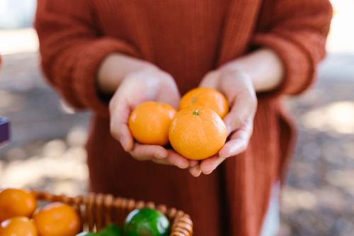 Free Hands gently holding ripe oranges, symbolizing nutrition and health benefits. Stock Photo