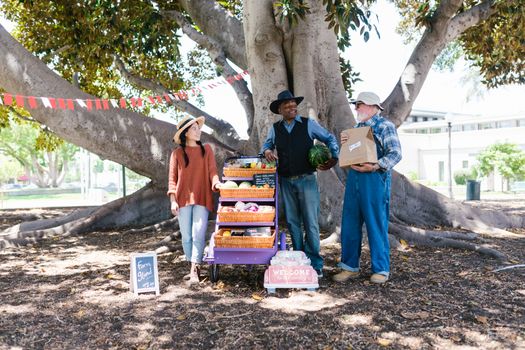 local farmer's market Barossa