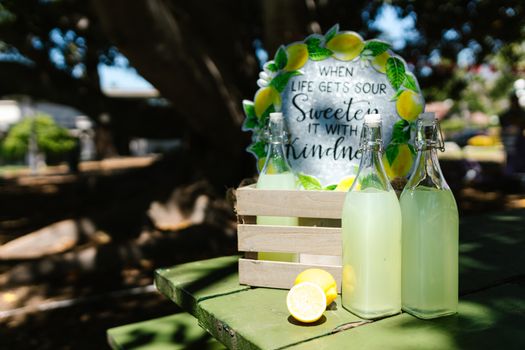 Ottawa's Lemonade Girls Reflect on a Sweet Legacy