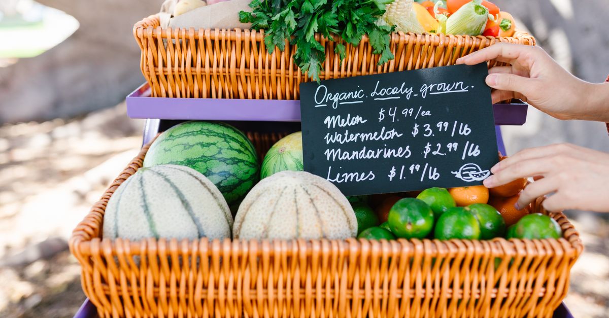 Comment construire une stratégie de contenu efficace pour votre e-commerce bio