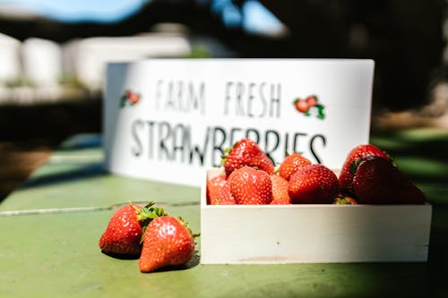 A Close-Up Shot of Fresh Strawberries