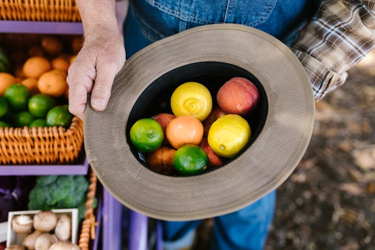 Person Holding A Hat With Fruits