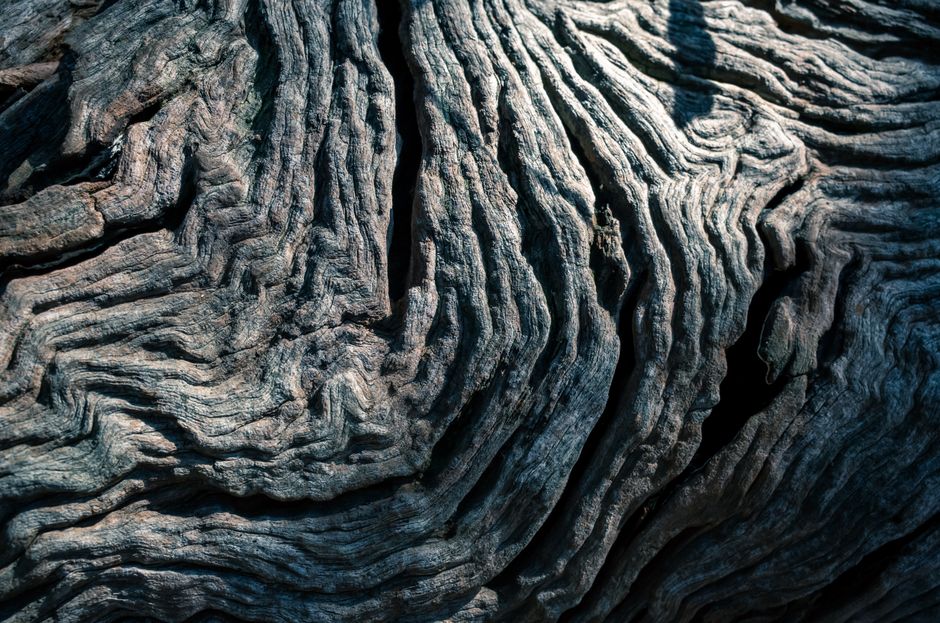 Photo by Sonny Sixteen on Pexels Close-up of weathered tree bark showing intricate texture and natural patterning.
