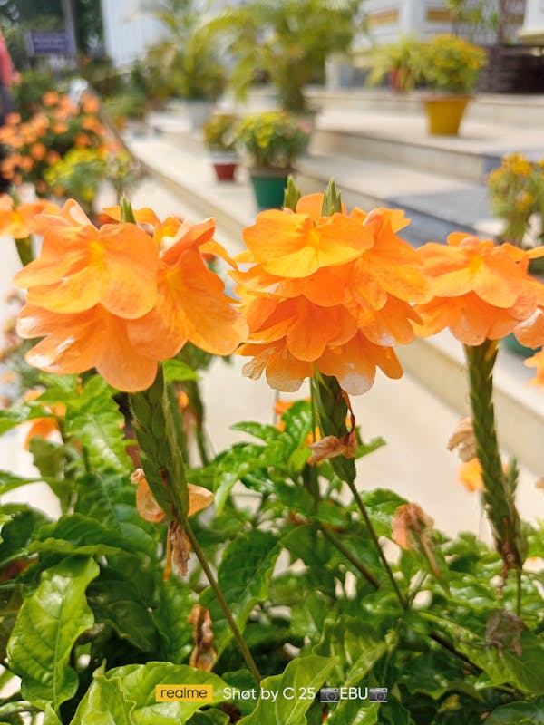 Scientist carefully executing a serial dilution protocol from a printed calculation table