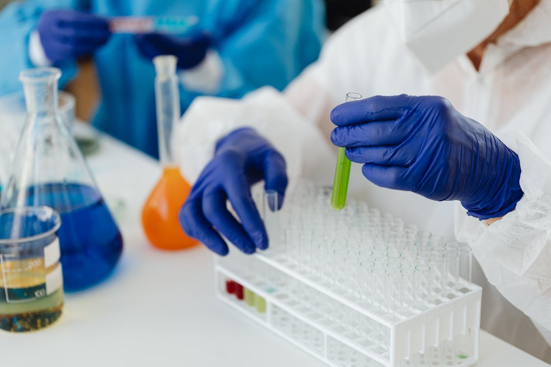 Gratis Fotos de stock gratuitas de análisis científico, análisis de muestra, bioquímica Foto de stock