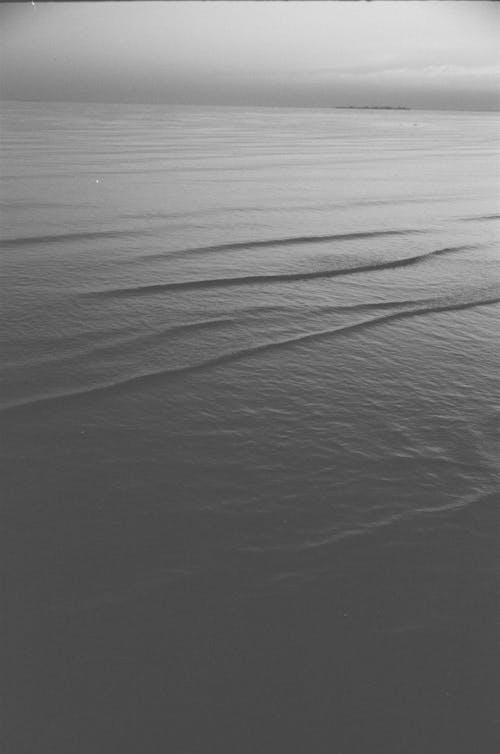 Grayscale Photo of a Seascape