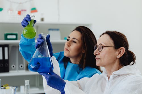 Free Scientists Looking at Colored Liquids on Flasks Stock Photo