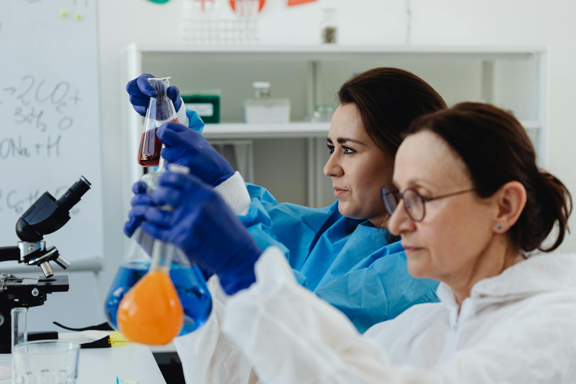 Scientists Working at the Laboratory