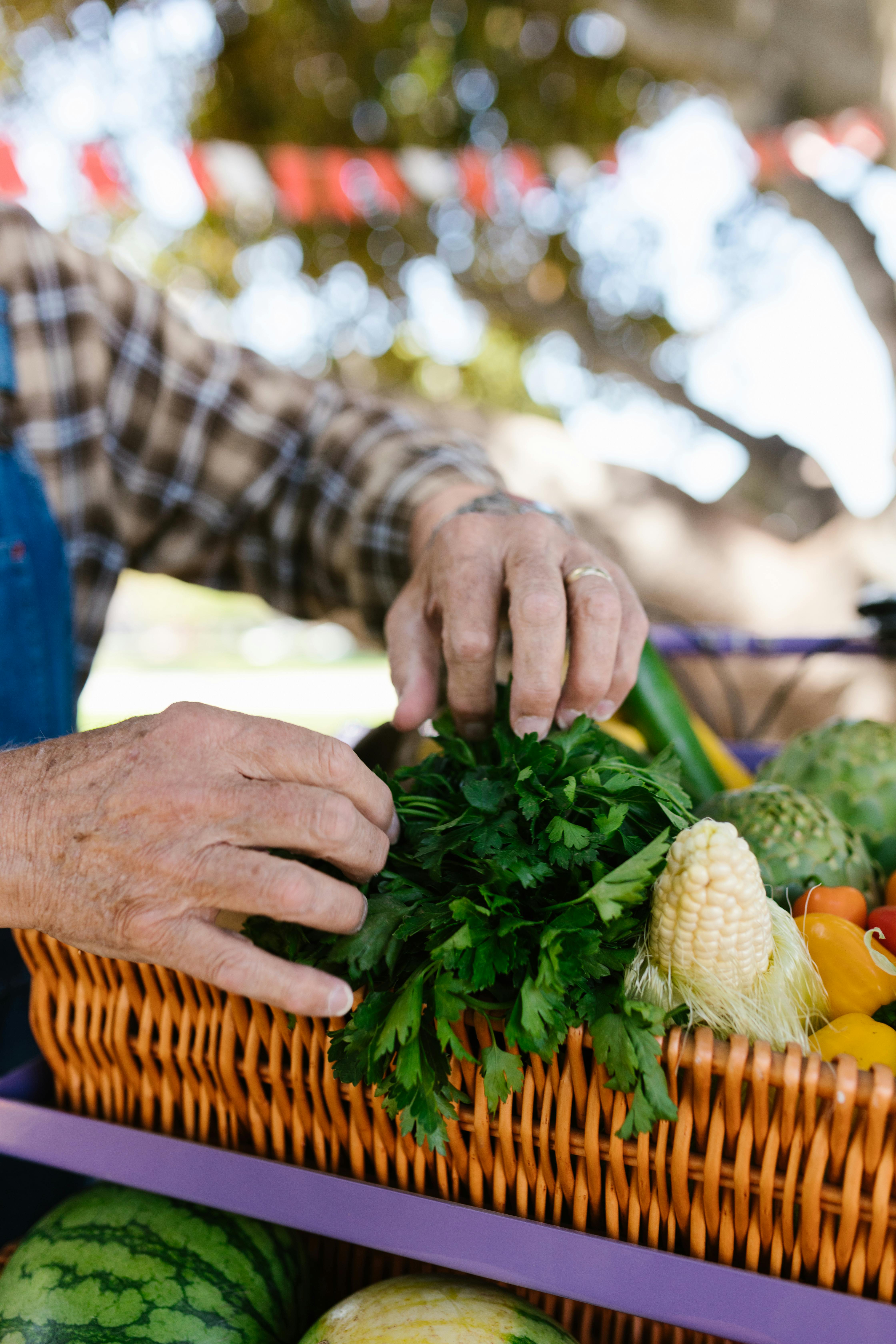 A chef carefully selecting fresh produce at a local farmers market in Auckland.
