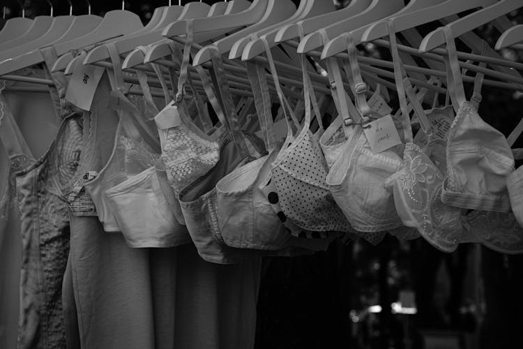 A Grayscale Of Hanged Brassieres 