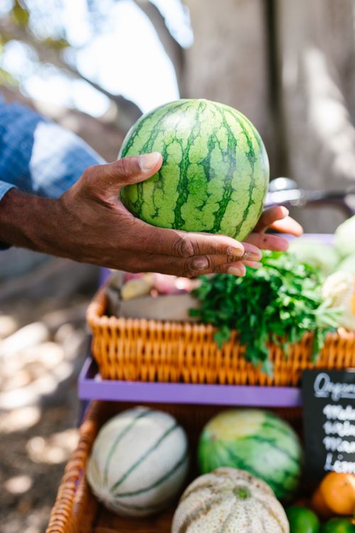 Free Close-up of a hand holding a watermelon at a local farmers market. Stock Photo