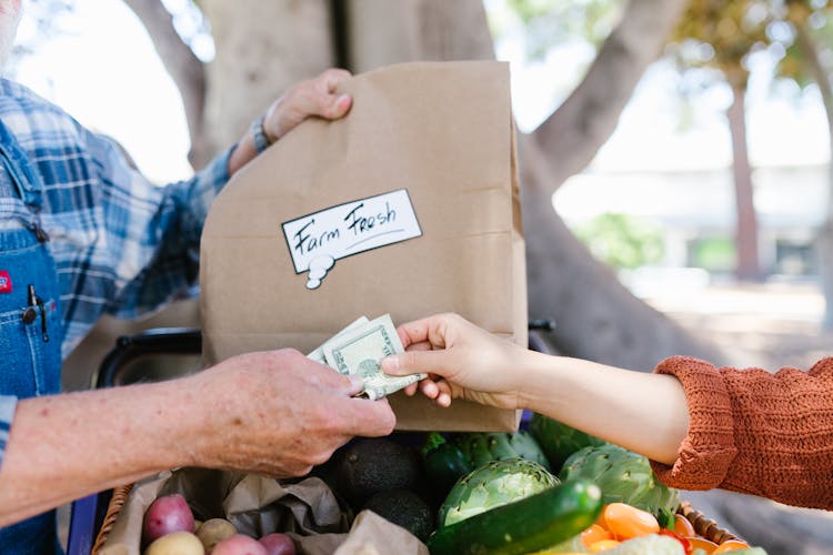 Person Paying With Cash 