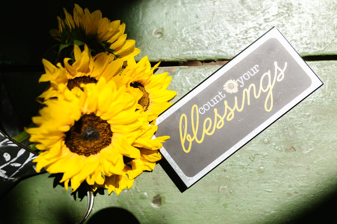 Free Yellow Sunflower on Black and White Welcome Signage Stock Photo