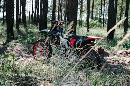 A Motorbike Parked in the Forest