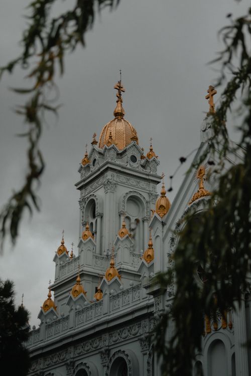Free Gothic architecture of St. Stephen Church in Istanbul with ornate golden domes seen through foliage. Stock Photo